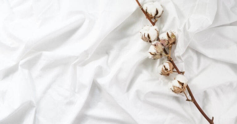 Was ist InterlockJersey?